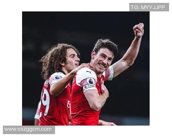 球星足球兄弟的传奇人生与绿茵场上的辉煌荣耀故事